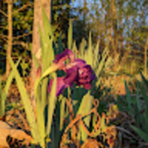 Meet your Posher, Noah